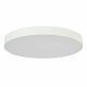 Потолочный светильник ST Luce ST601.542.18