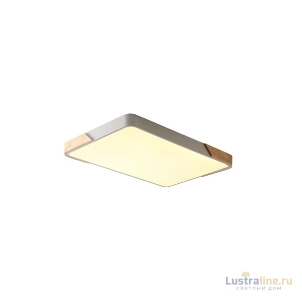 Потолочный светильник Zortes Alberro ZRS.01233.60 Потолочный светильник Zortes Alberro ZRS.01233.60