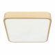 Потолочный светильник Loft IT Flims 10228/C