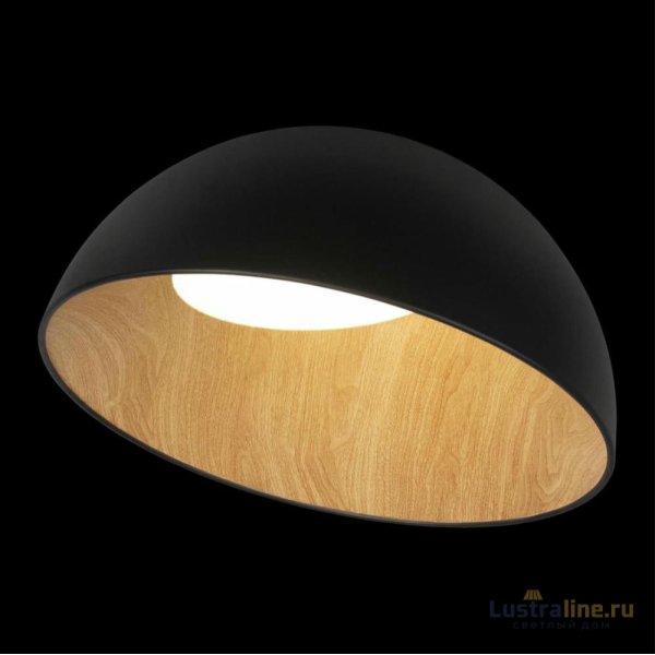 Потолочный светильник Loft IT Egg 10197/500 Black