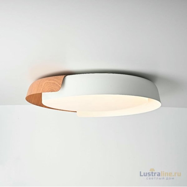 Потолочный светильник ImperiumLoft Adda 223830-23 Потолочный светильник ImperiumLoft Adda 223830-23