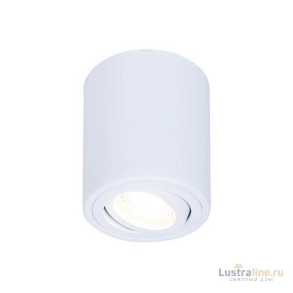 Потолочный светильник Ambrella Light Techno Spot TN225