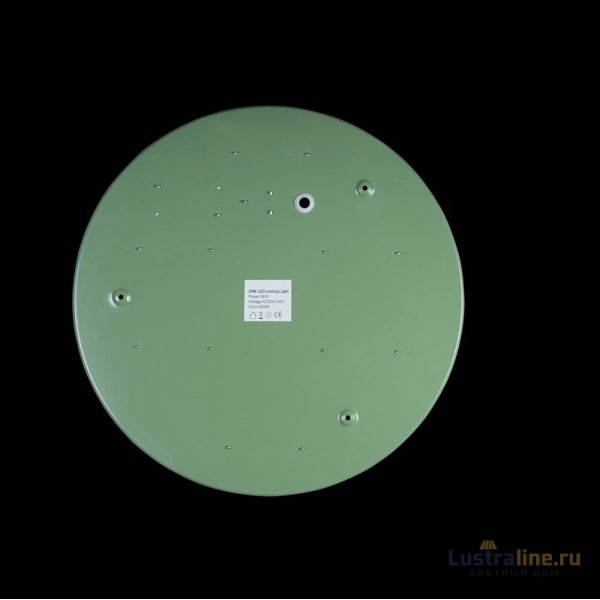 Потолочный светильник Loft IT AXEL 10002/24 Green Потолочный светильник Loft IT AXEL 10002/24 Green