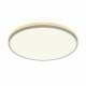 Потолочный светильник Citilux Norma CL748500