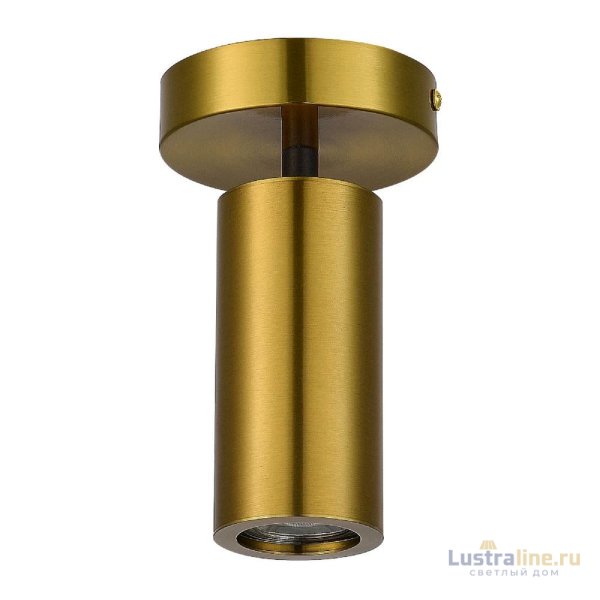 Потолочный светильник ST Luce Talia SL1215.402.01