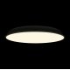 Потолочный светильник Loft IT Brim 10226 Black