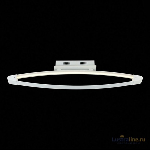Потолочный светодиодный светильник ST Luce SL920.102.01 Потолочный светодиодный светильник ST Luce SL920.102.01