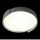 Потолочный светильник Loft IT Coin 10200 Grey