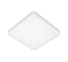 Потолочный светильник Elektrostandard DLS043 10W 4200K a047941