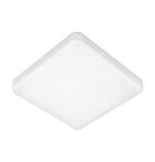 Потолочный светильник Elektrostandard DLS043 10W 4200K a047941