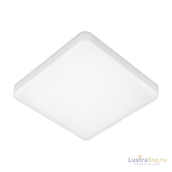 Потолочный светильник Elektrostandard DLS043 10W 4200K a047941