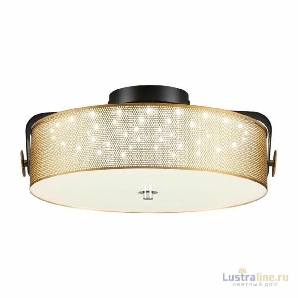 Потолочный светильник Lumion Drumy 6597/40L