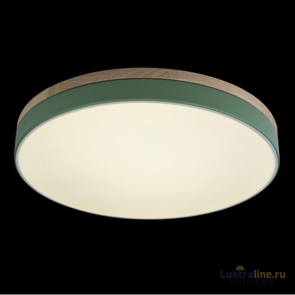 Потолочный светильник Loft IT AXEL 10001/36 Green Потолочный светильник Loft IT AXEL 10001/36 Green
