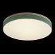 Потолочный светильник Loft IT AXEL 10001/36 Green