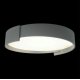 Потолочный светильник Loft IT Coin 10200 Grey