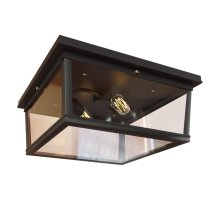 Потолочный светильник LOFT IT Modern filament Loft3110-2C