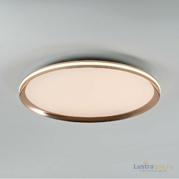 Потолочный светильник LED4U L3020-500 GD Потолочный светильник LED4U L3020-500 GD