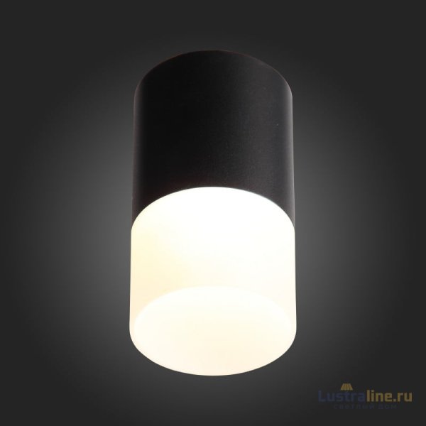 Накладной светильник ST Luce ST100.402.10 Накладной светильник ST Luce ST100.402.10