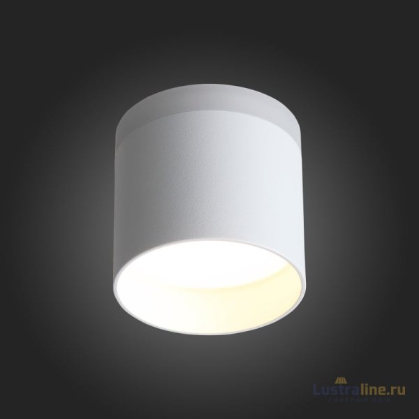 Накладной светильник ST Luce ST102.502.09