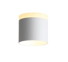 Накладной светильник ST Luce ST102.502.09