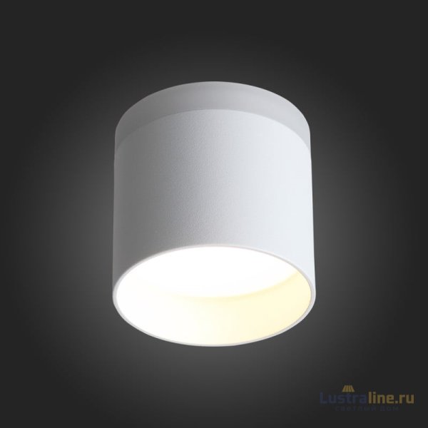 Накладной светильник ST Luce ST102.502.12 Накладной светильник ST Luce ST102.502.12