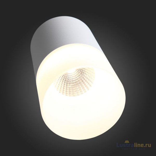 Накладной светильник ST Luce ST100.502.05 Накладной светильник ST Luce ST100.502.05