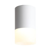 Накладной светильник ST Luce ST100.502.05