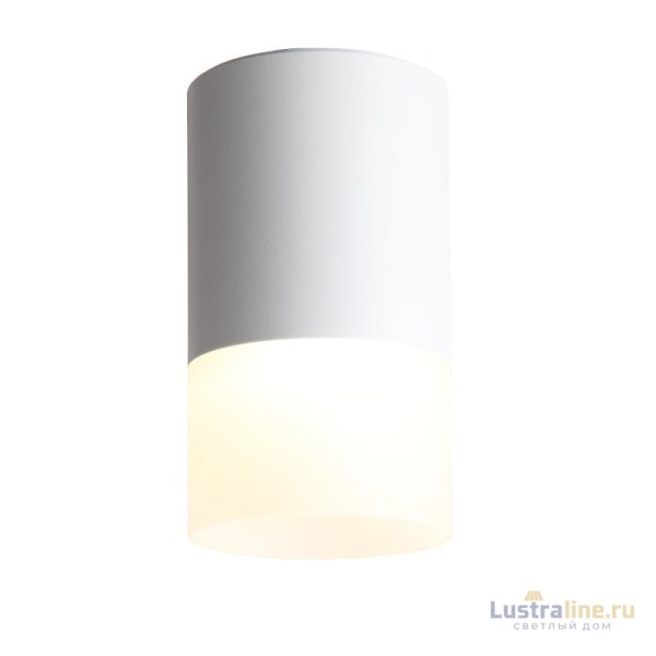Накладной светильник ST Luce ST100.502.05 Накладной светильник ST Luce ST100.502.05