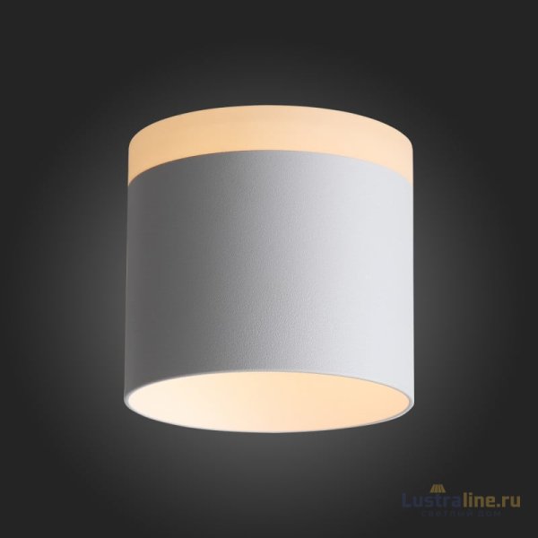 Накладной светильник ST Luce ST102.502.12 Накладной светильник ST Luce ST102.502.12