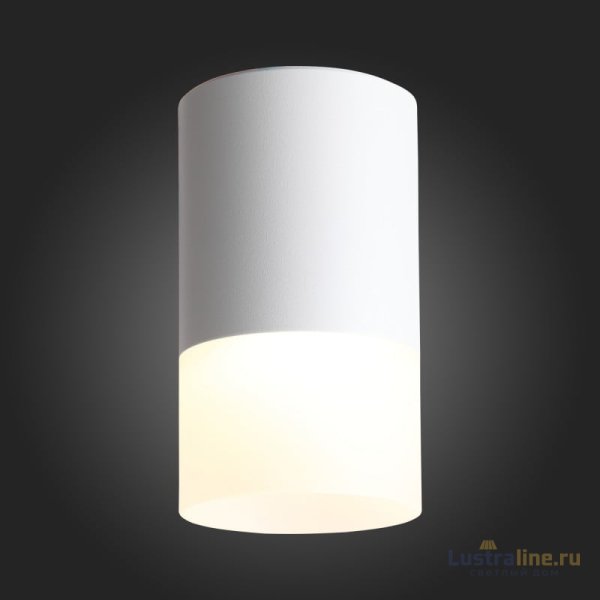Накладной светильник ST Luce ST100.502.05 Накладной светильник ST Luce ST100.502.05