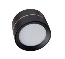 Влагозащищенный светильник LeDron BARREL MINI Black 00000013798 УЦ