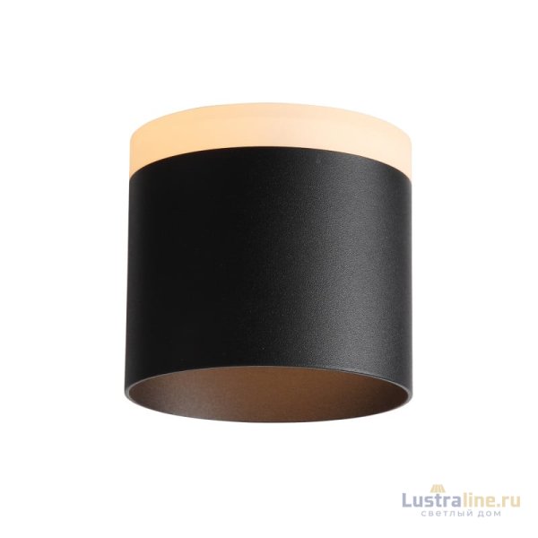 Накладной светильник ST Luce ST102.402.12 Накладной светильник ST Luce ST102.402.12
