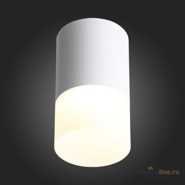 Накладной светильник ST Luce ST100.502.05 Накладной светильник ST Luce ST100.502.05