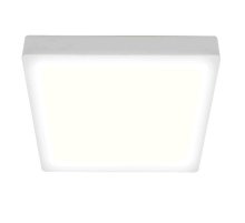 Встраиваемая светодиодная панель Apeyron 06-31