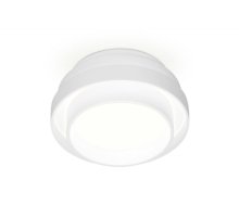 Накладной светильник Ambrella Light TN601