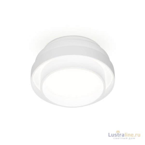 Накладной светильник Ambrella Light TN601