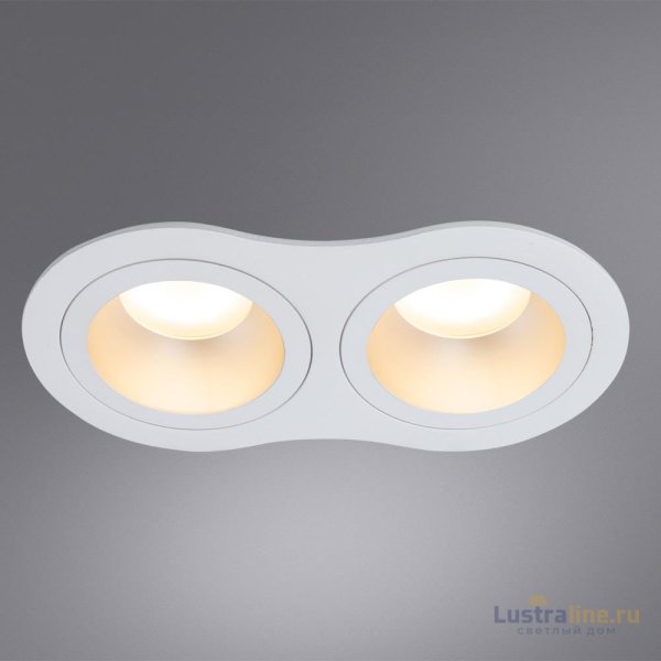 Встраиваемый светильник Arte Lamp Alkes A2161PL-2WH Встраиваемый светильник Arte Lamp Alkes A2161PL-2WH