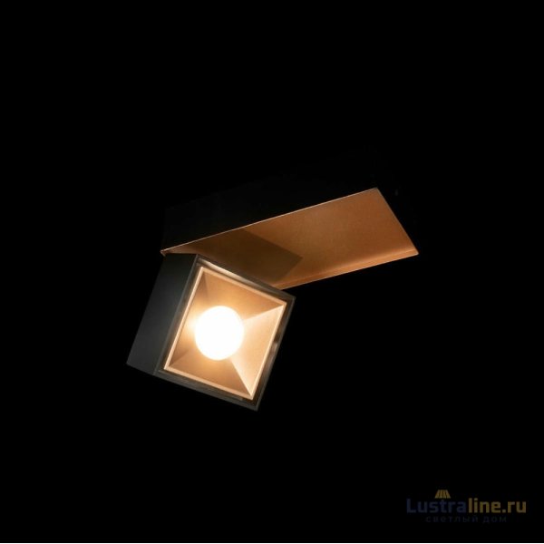 Накладной спот Loft IT Knof 10324/B Gold Black