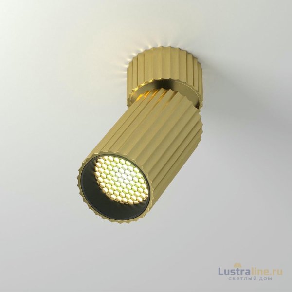 Накладной спот Maytoni Calipso C108CL-01-GU10-BS
