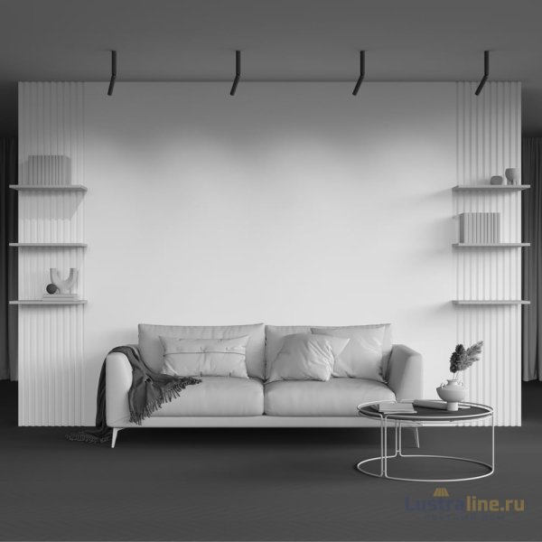 Накладной спот Maytoni Focus T C142CL-6W3K-B