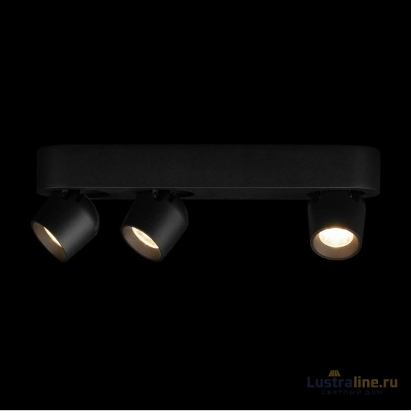 Накладной спот Loft IT Quiet 10320/3 Black