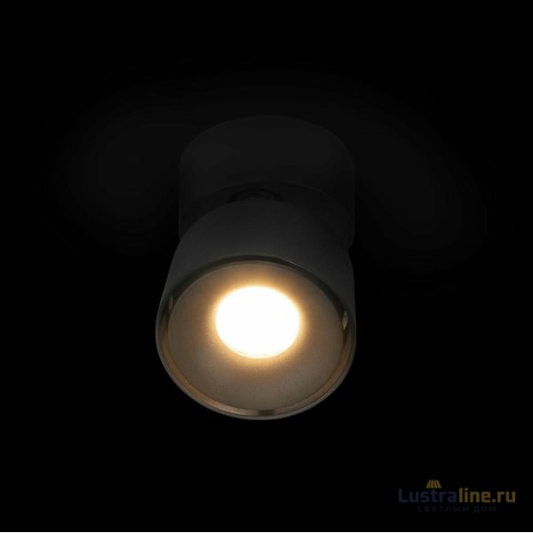 Накладной спот Loft IT Focus 10323/A Black