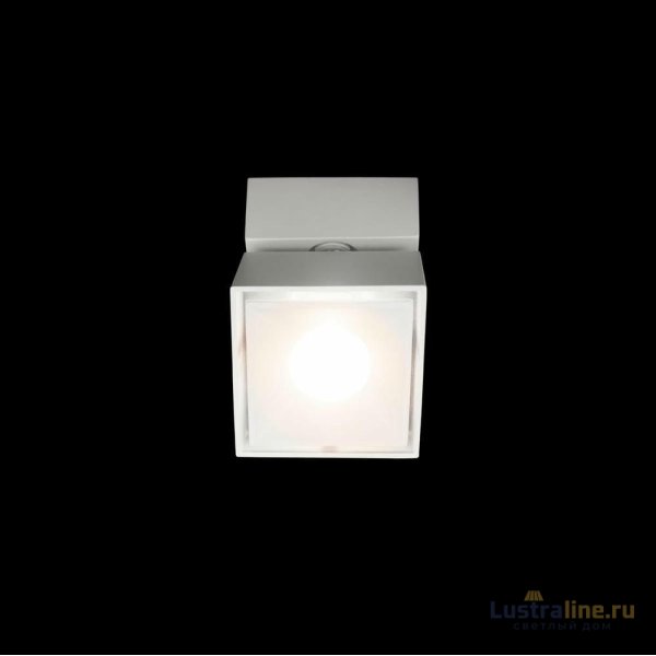 Накладной спот Loft IT Focus 10323/B White