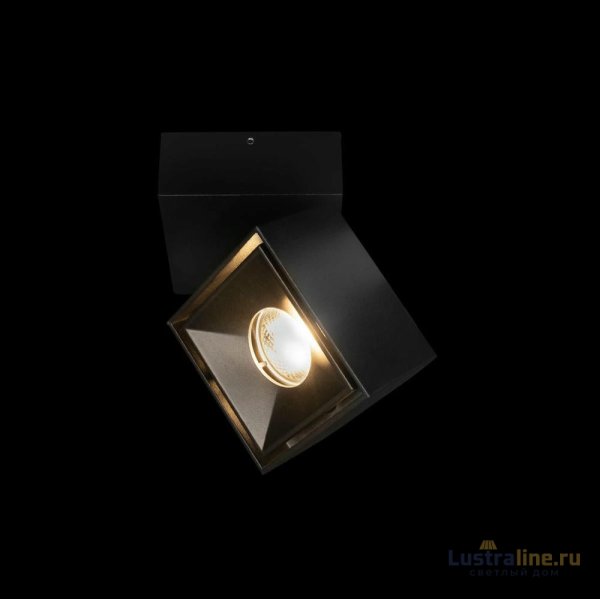 Накладной спот Loft IT Focus 10323/B Black