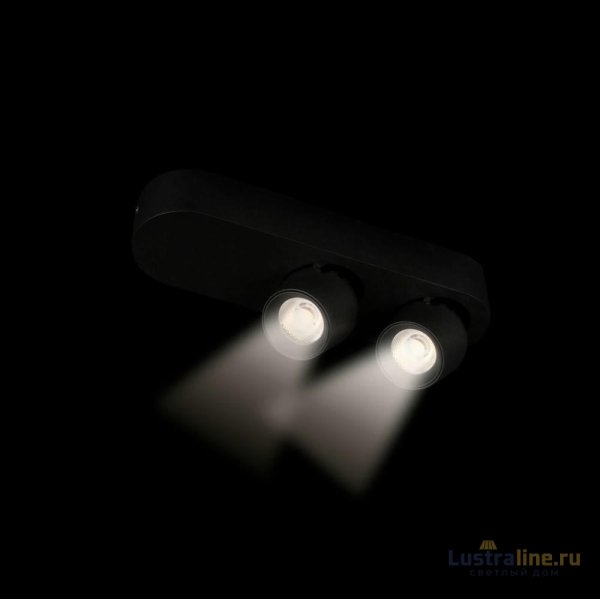 Накладной спот Loft IT Quiet 10320/2 Black Накладной спот Loft IT Quiet 10320/2 Black