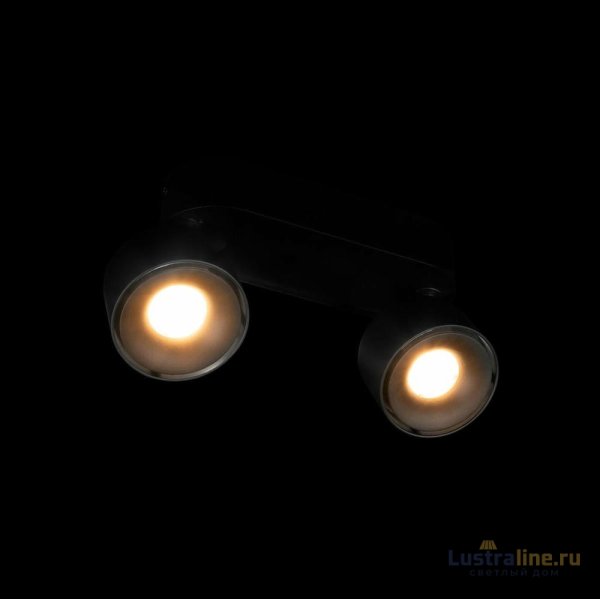Накладной спот Loft IT Focus 10323/2A Black Накладной спот Loft IT Focus 10323/2A Black