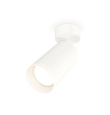 Спот Ambrella Light Techno Spot XM6322010 (A2202, C6322, N6246)