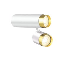 Спот Lumien Hall Саурис LH8020/2C-WT-GD УЦ