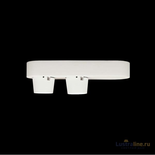 Накладной спот Loft IT Quiet 10320/2 White