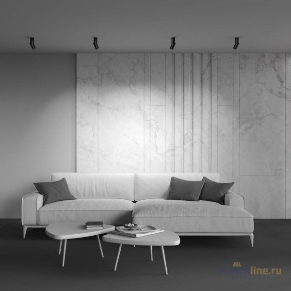 Накладной спот Maytoni Dafne C027CL-L10B4K